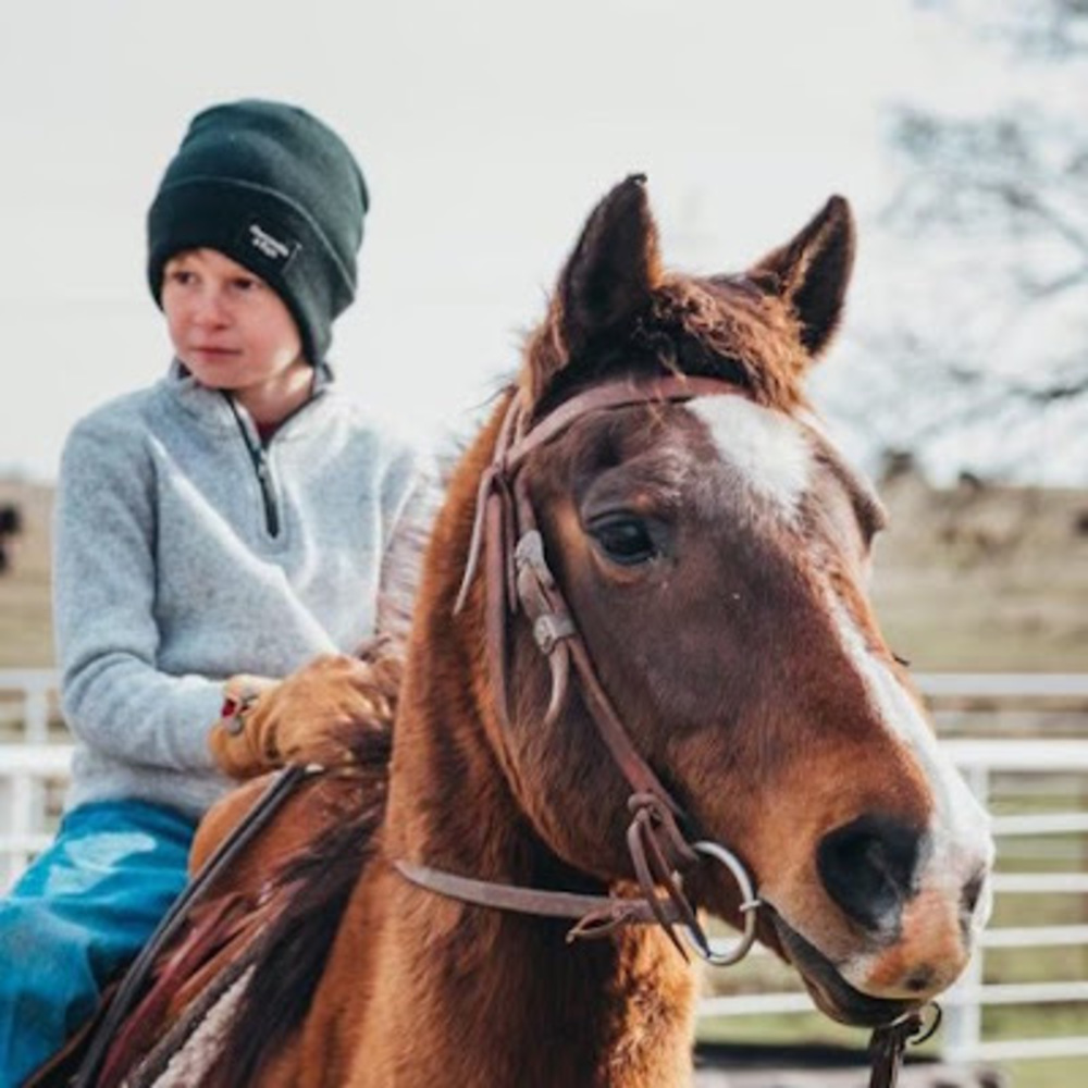 Meet your Posher, Jayce